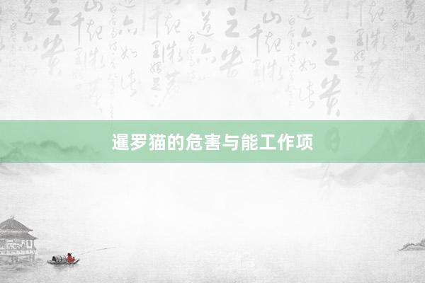 暹罗猫的危害与能工作项